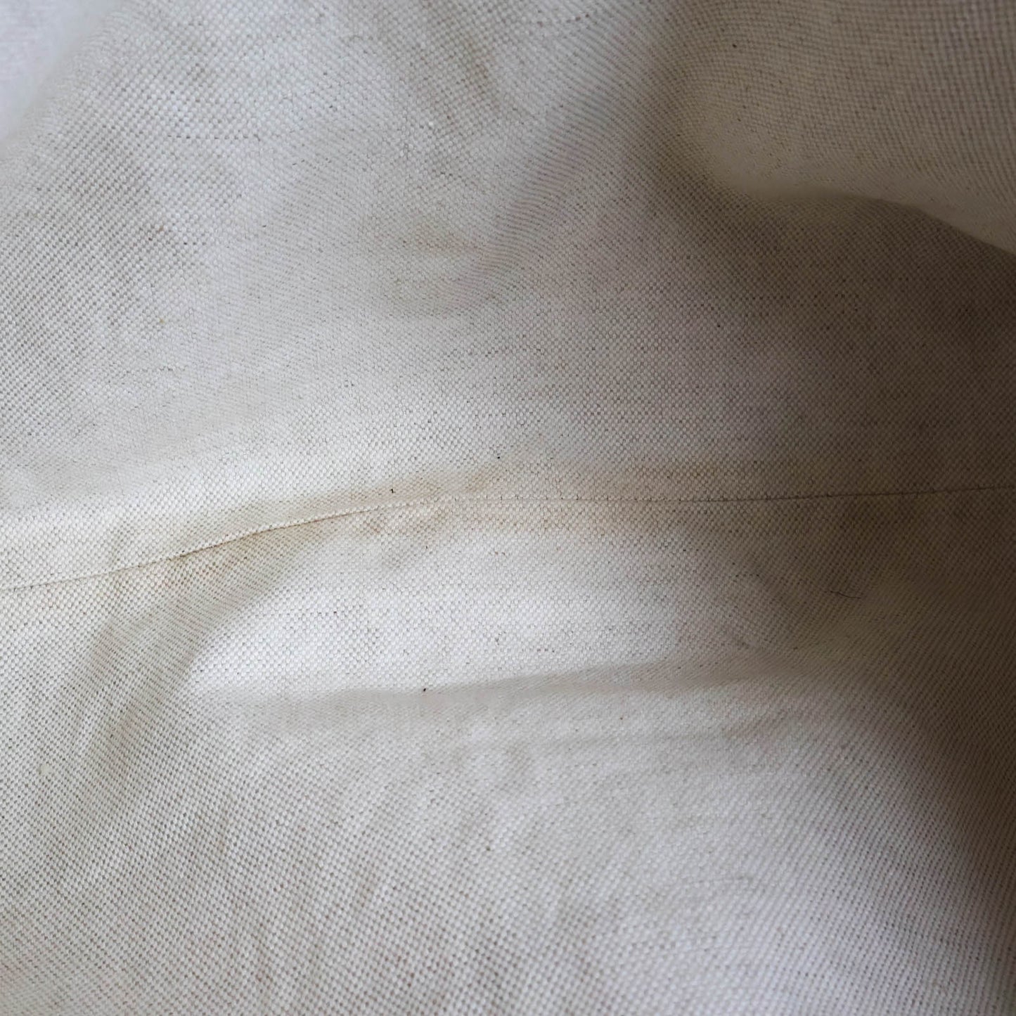 Gucci Tote Bag Canvas GG Brown