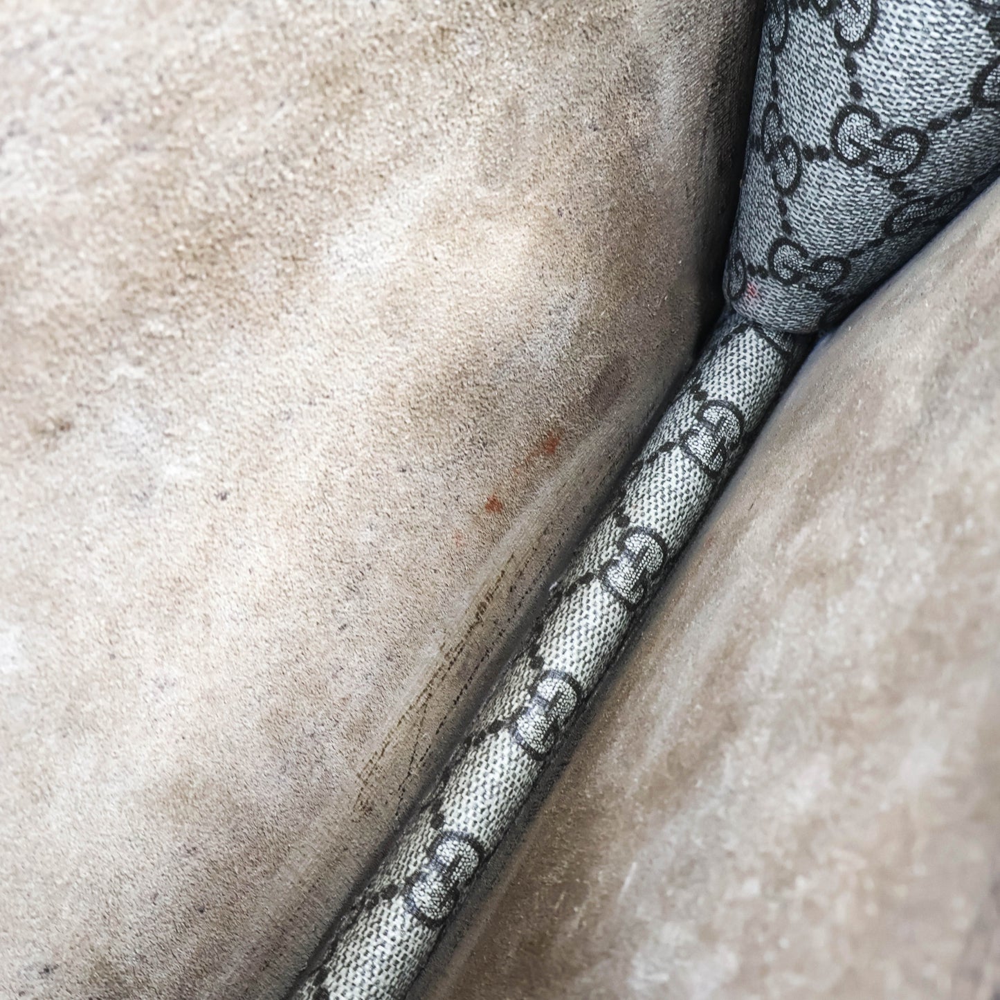 Gucci Dionysus GG Supreme Suede Brown