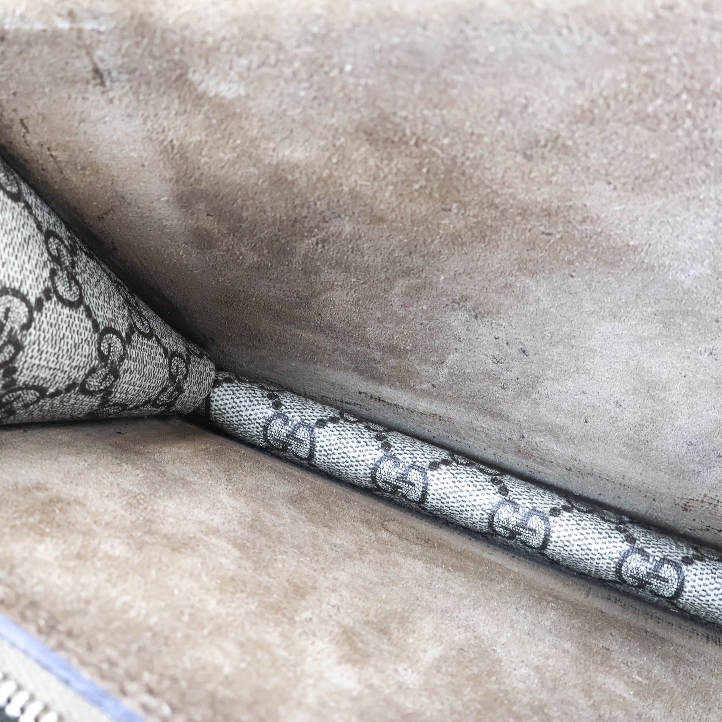 Gucci Dionysus GG Supreme Suede Brown