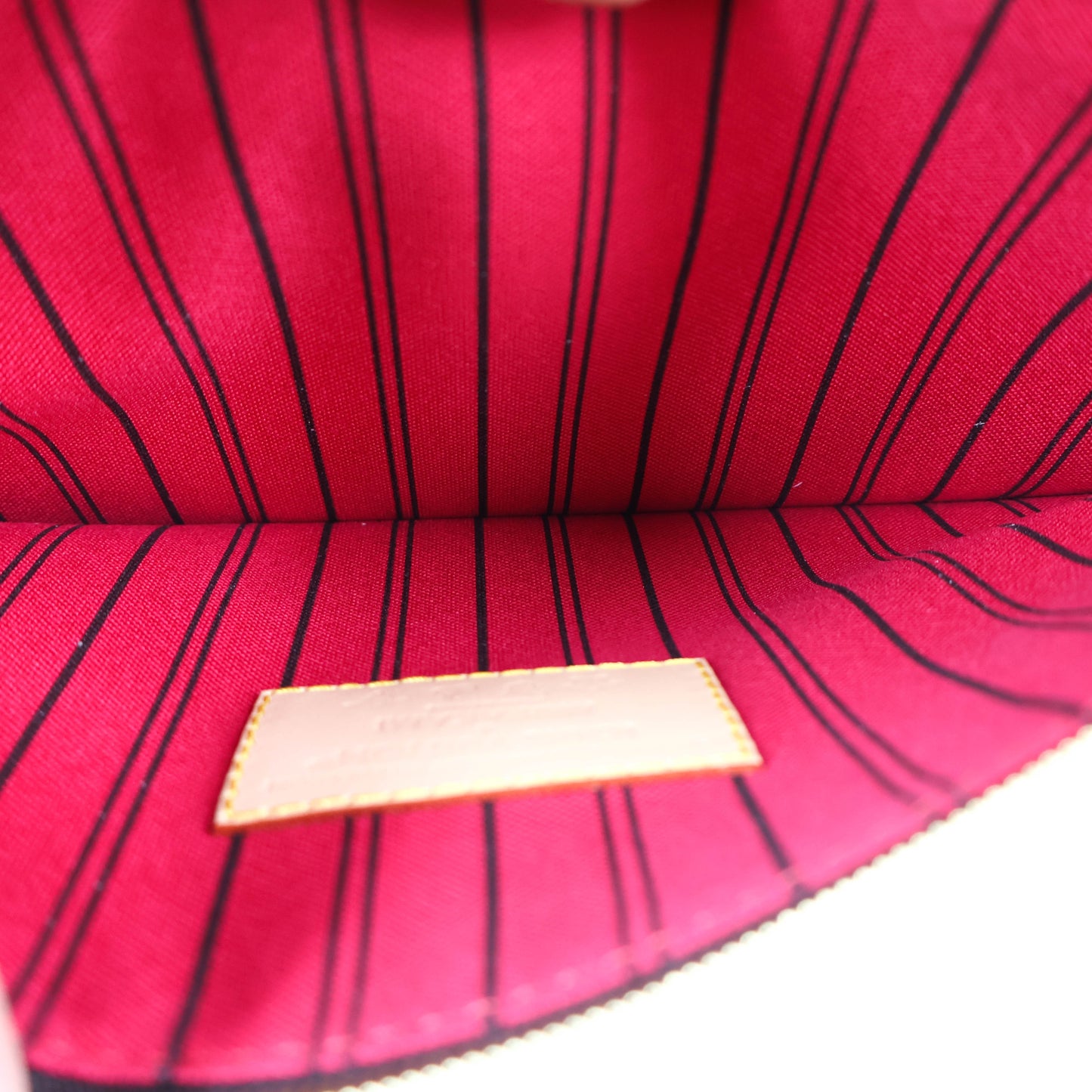 Louis Vuitton x TM Neverfull MM Cherry