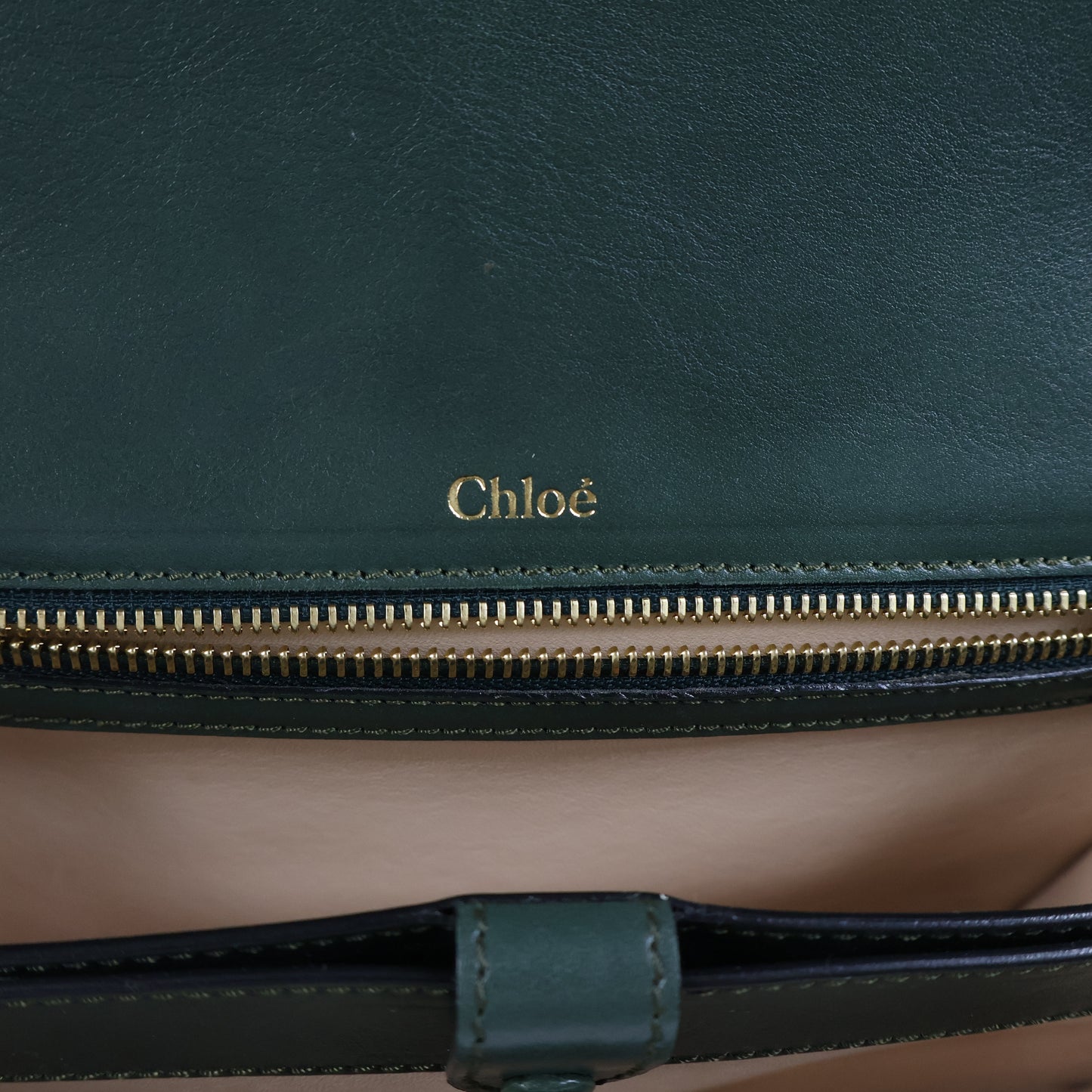 Chloe Flap Bag Green