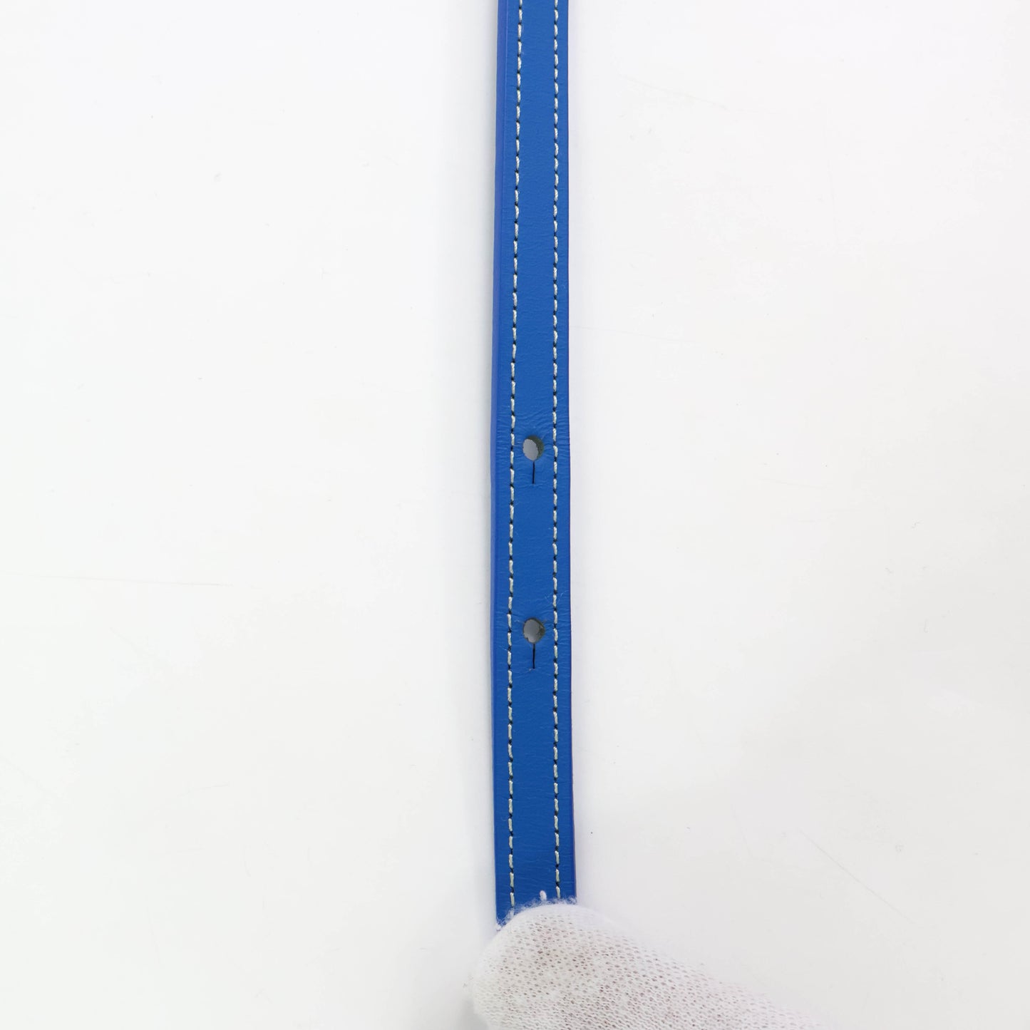 Goyard Saigon Mini Structure Blue