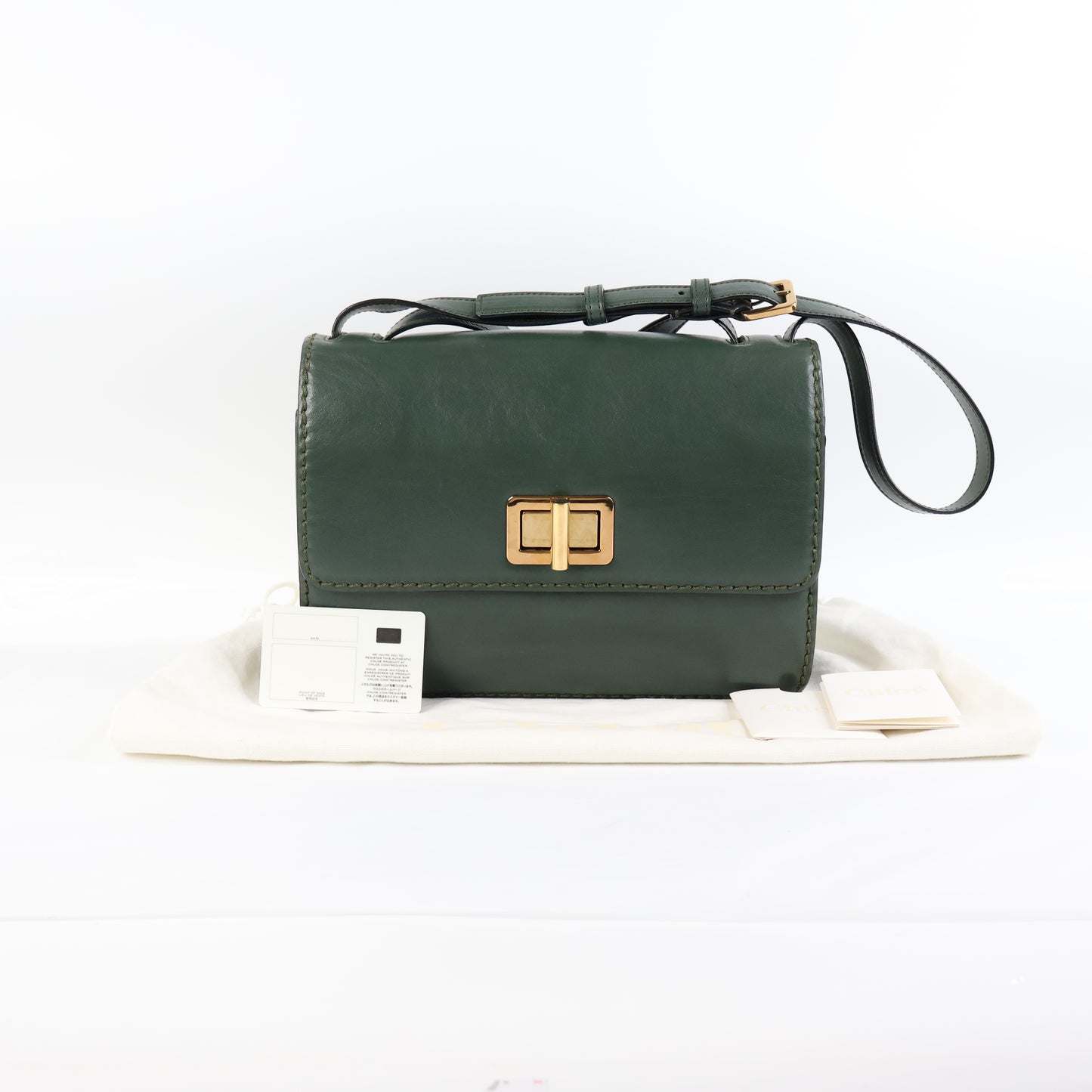 Chloe Flap Bag Green