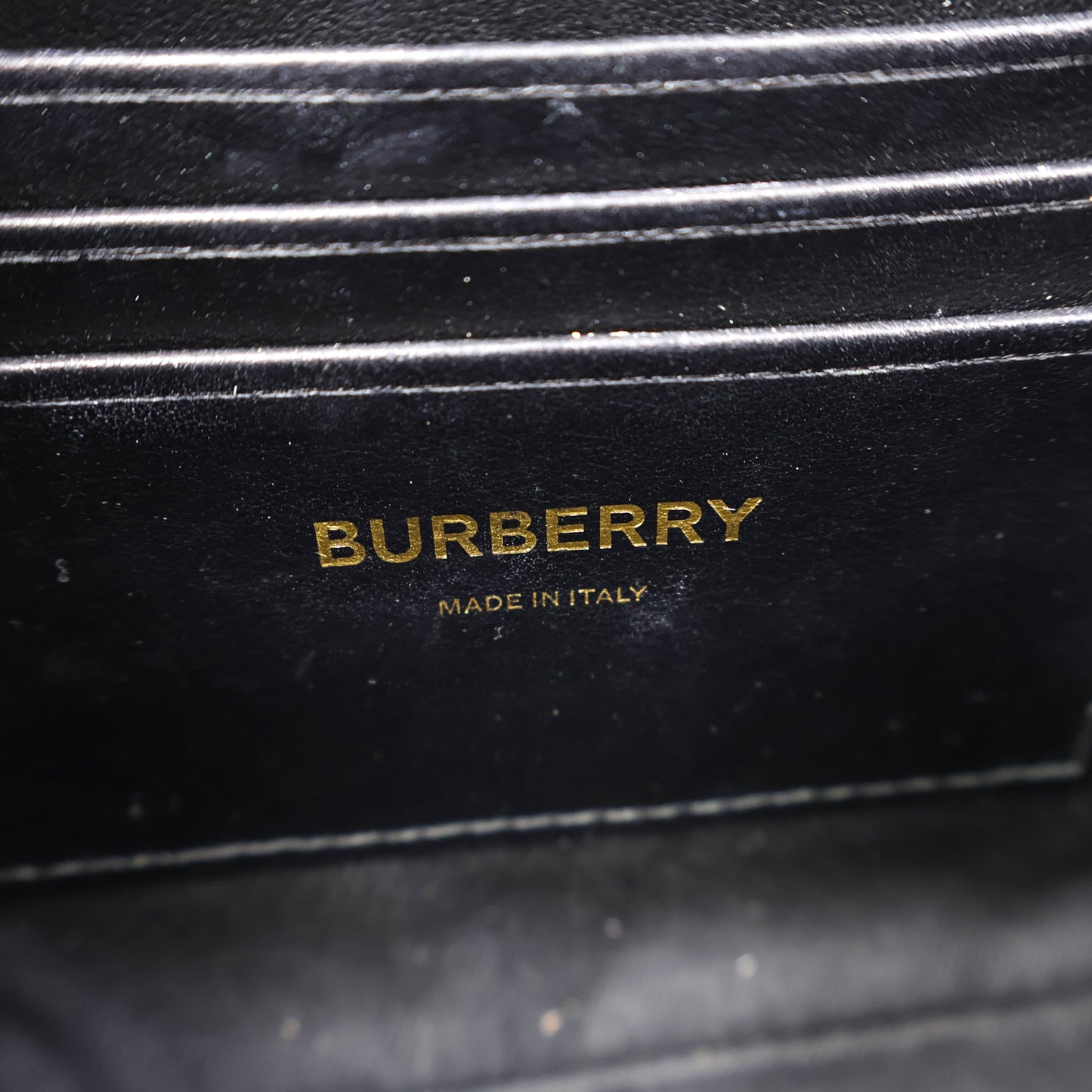 Burberry Paddy TB Monogram E Canvas Stripe