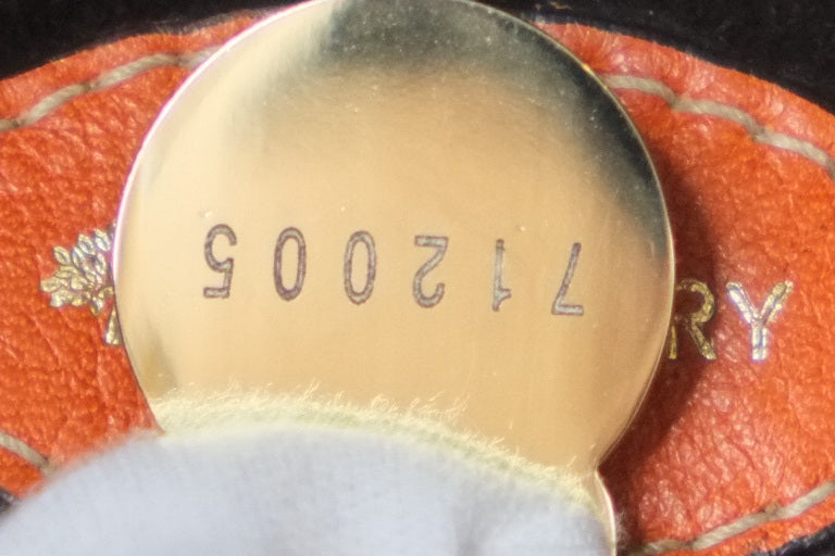 Mulberry Tote Bag Orange