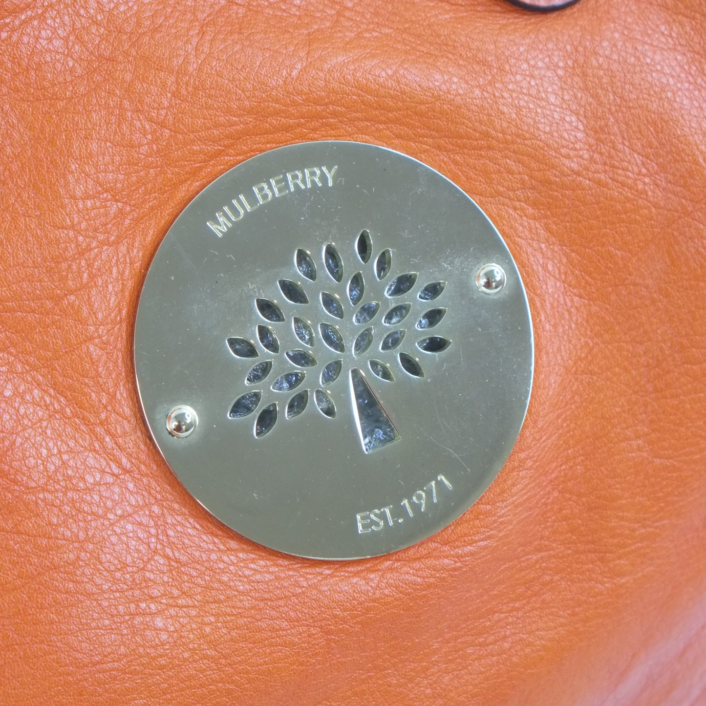 Mulberry Tote Bag Orange