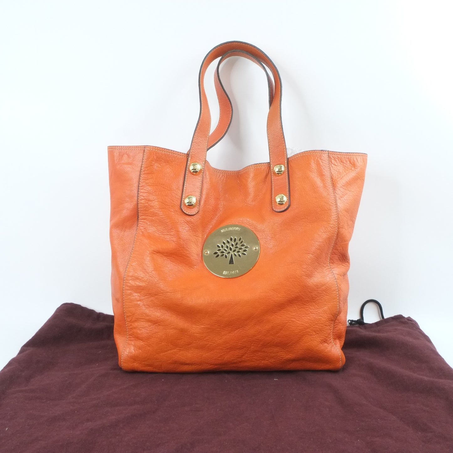 Mulberry Tote Bag Orange