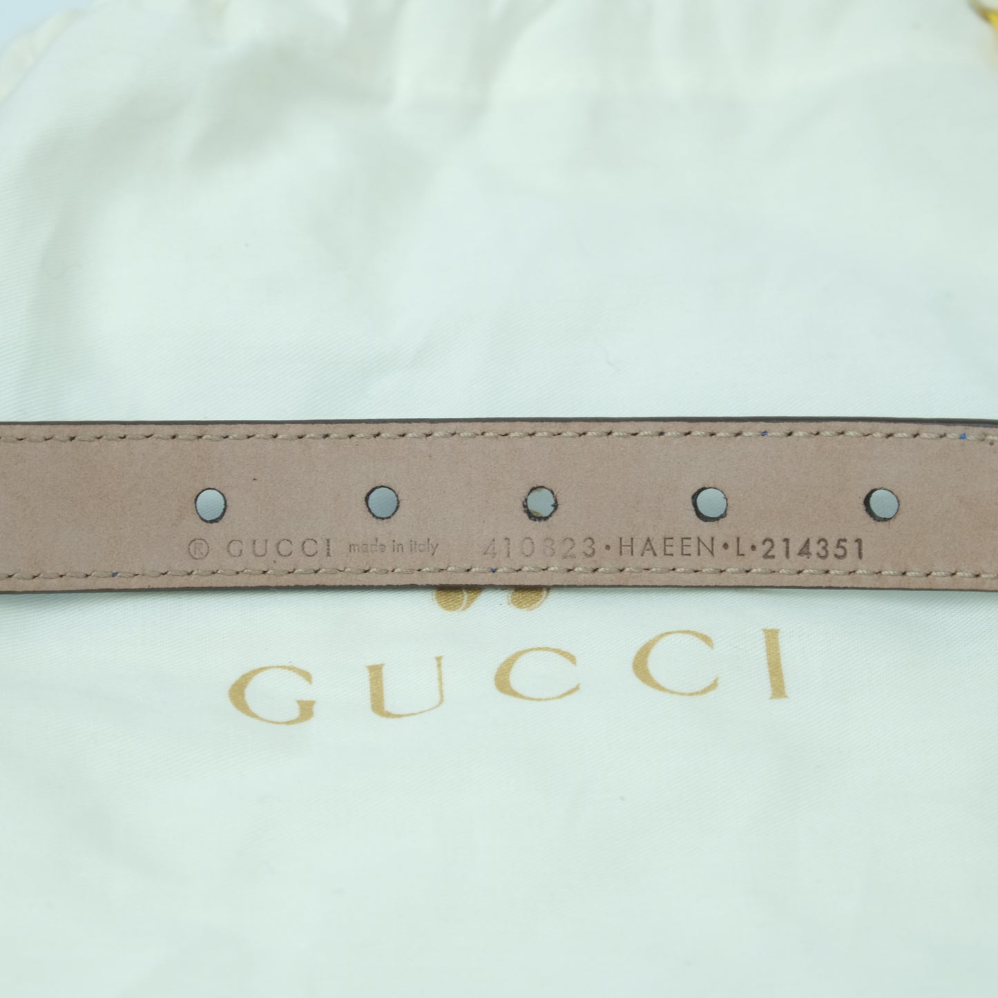 Gucci Kid Belt Blue Red