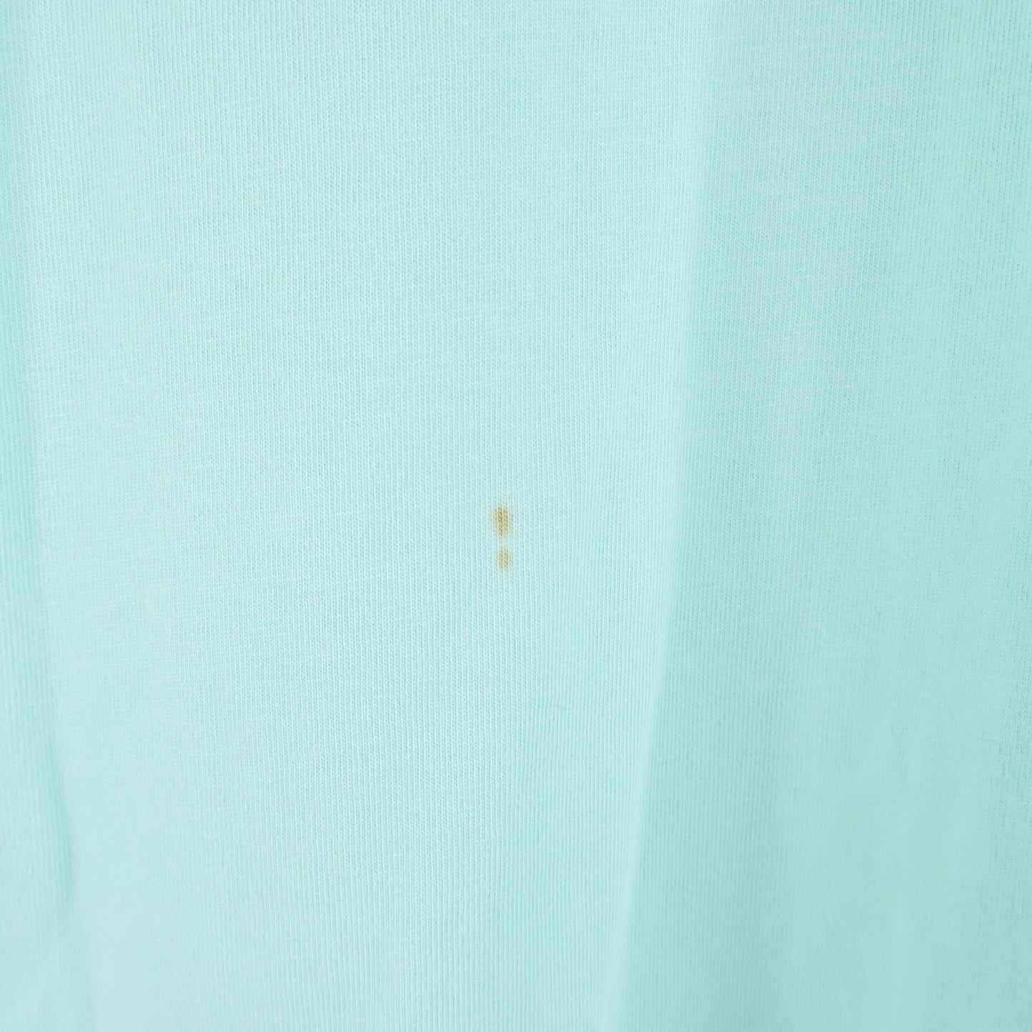 Balenciaga T-Shirt Logo Mint Green