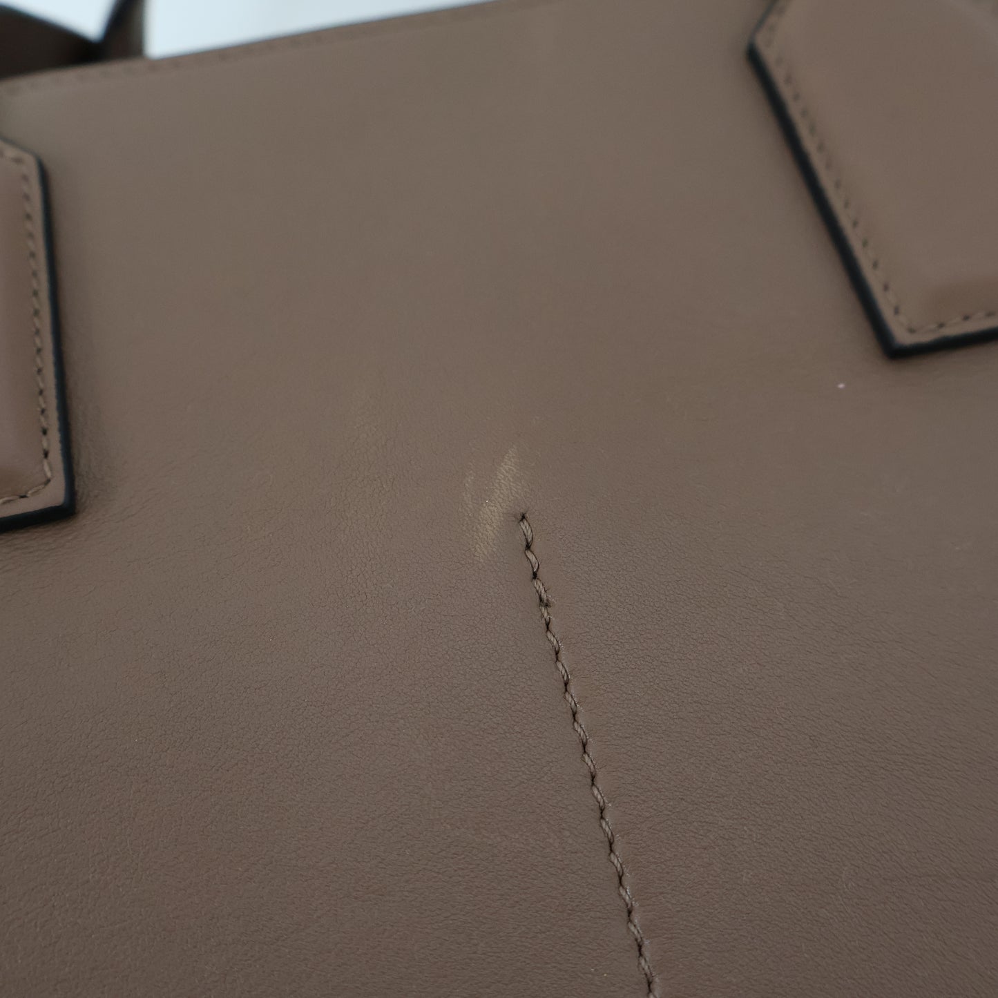 Loewe Amazona 36 Pink Beige