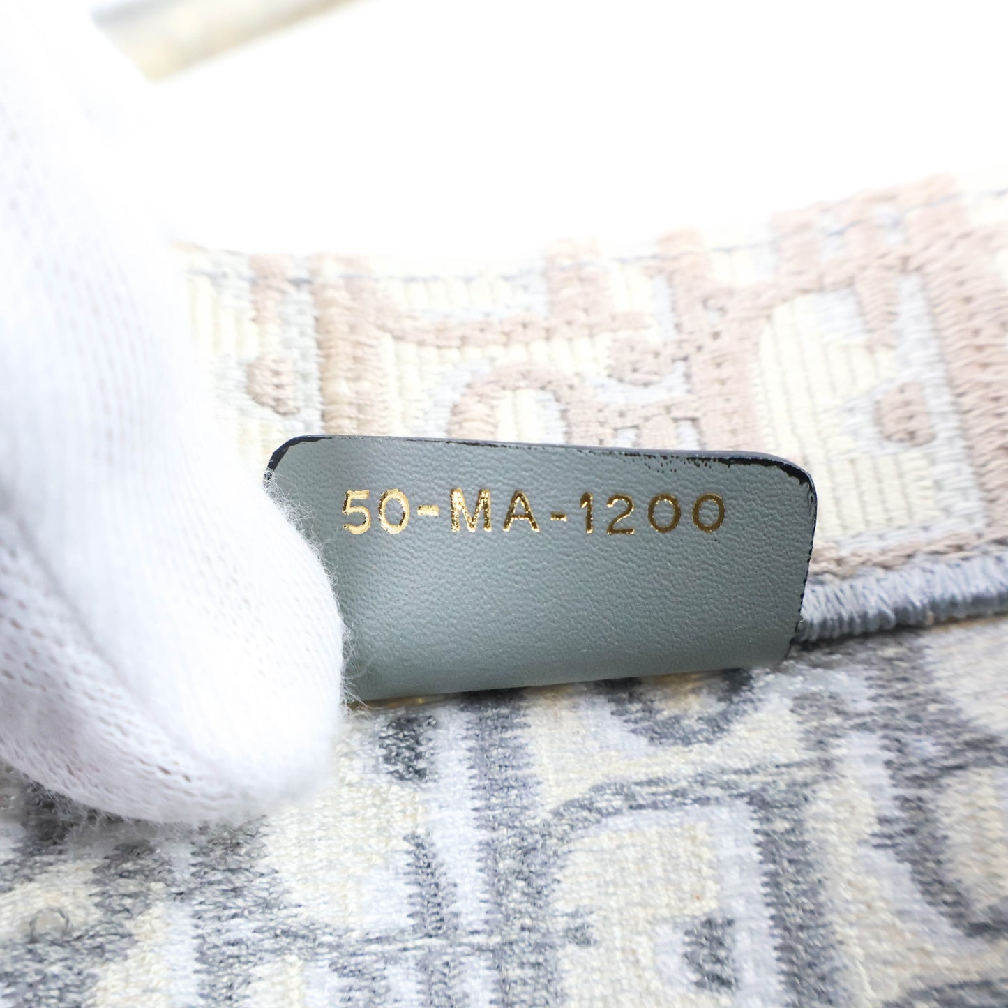 Christian Dior Book Tote Medium Oblique Grey