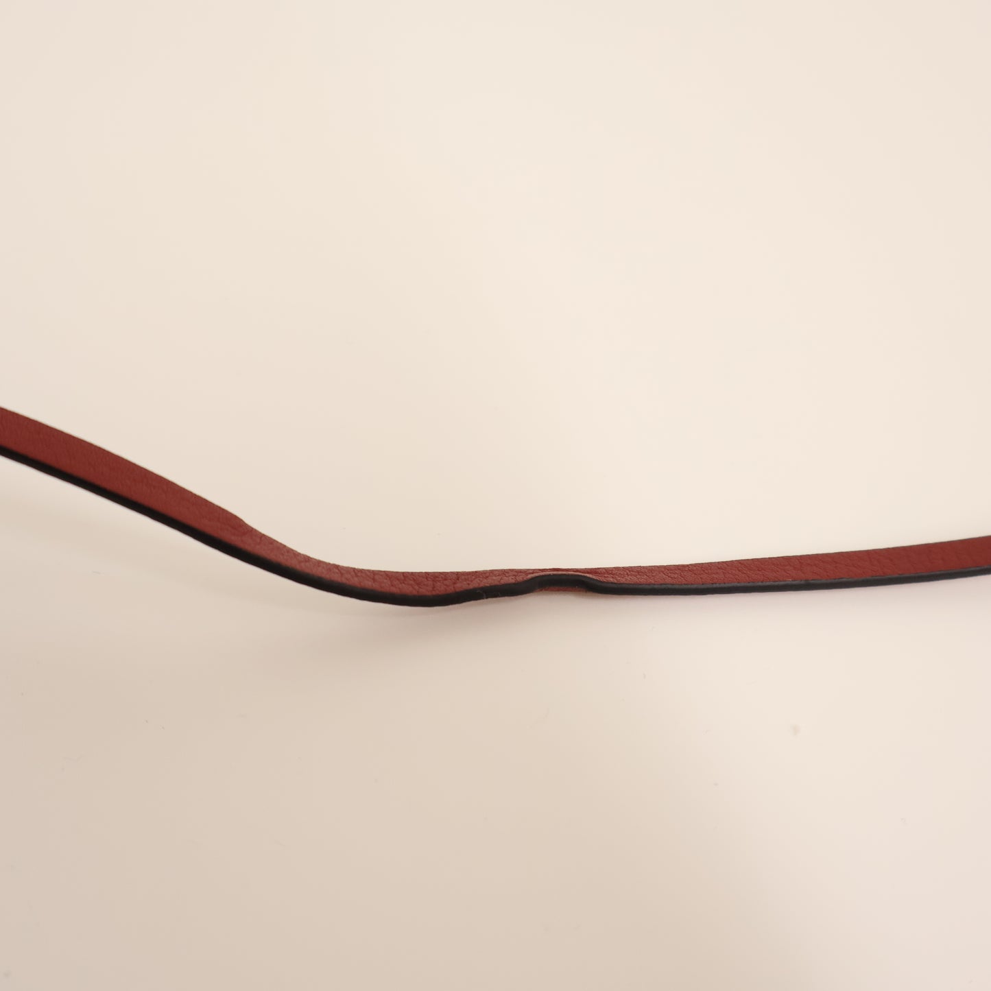 Loewe Phone Holder With Strap Tan