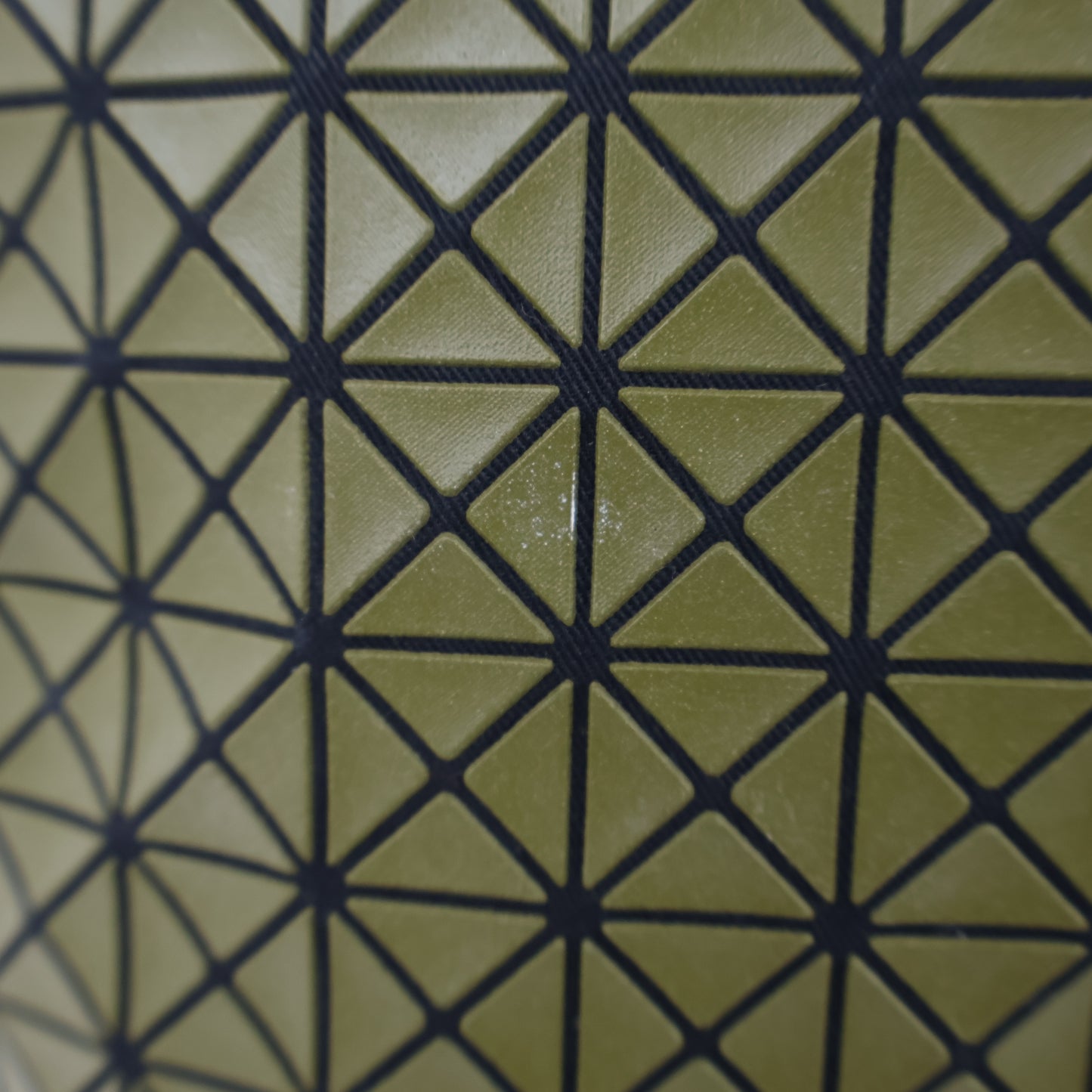 Bao Bao Tote Bag Green